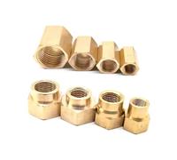 BYCIFRLG 2pc M10x1 Female Equal/Reduce Brass Hex Pipe Connector Fitting Reducer