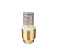 BYCIFRLG 3/4" BSP Female Thread Brass Check Valve with Mesh Strainer Filter Bottom Valve Foot Valve