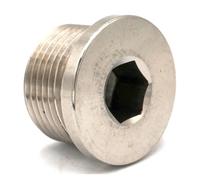 BYCIFRLG 3/4" BSP Male 304 Countersunk End with Flange Internal Hex Head Socket 357 PSI