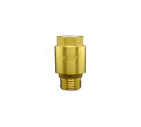BYCIFRLG 3/4" BSP Male to Female Thread Brass Vertical Lift Spring Check Valve One Way Non-Return Valve for Water