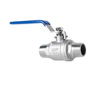BYCIFRLG 304 Stainless Steel Double External Ball Valve, Water Pipe, External Thread, Water Valve Switch(DN8)