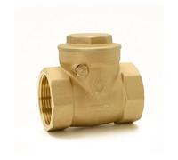 BYCIFRLG 429A Check Valve Brass Horizontal Check Valve Straight Through Anti Backflow Household Engineering Water Pipe(DN32 1-1l4 R)
