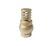 BYCIFRLG Clapet Anti-Retour en Laiton à Filetage Femelle BSP 1-1/2" avec Filtre et clapet de Pied