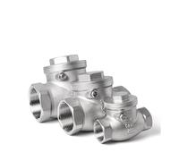 BYCIFRLG Clapet Anti-Retour Horizontal à Filetage Interne BSP 1-1/2" en Acier Inoxydable SS304