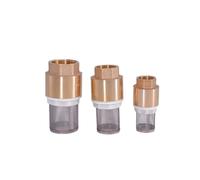 BYCIFRLG Hardware 1/2" 3/4" 1" 1-1/4" 1-1/2" 2" 3" BSP Female Thread Brass Check Valve with Mesh Strainer Filter Bottom Valve Foot Valve for Water Pipe Joint(1-1/4")