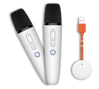 BYD - Microphones sans fil doubles pour karaoké