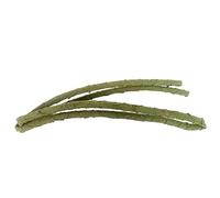 Bydezcon 2 mètres de lézard grimpant Branche pour animaux de compagnie PU Plante grimpante Salon Décoration Animal de compagnie Facile à plier Plante grimpante