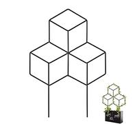 Bydezcon Cadre de support tridimensionnel en forme de cube pour plantes grimpantes en fer