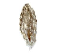 Byeaon Extension Queue de Cheval - Postiche Bohémoise Modulable avec Lien | Extension de Queue de Cheval Tressée pour Filles - pour Filles Garçons Étudiants Adolescentes Actrices École Fête Spectacle