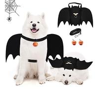 byepica Costume d'Halloween créatif pour chien chauve-souris avec laisse, cloche citrouille et joint torique pour animaux de compagnie