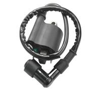BYINGS Bobine d'allumage compatible avec moteur de scooter PCX125 WW125 PCX150 WW150, pièce électrique