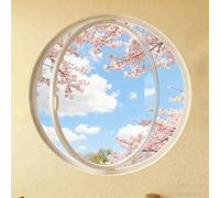 BYJSJY Fenêtre Ronde Moderne à Rotation Centrale,Cadre Aluminium et Verre Trempé 0,5 cm,Fenêtre De Cave,Ventilation Ajustable et Esthétique Contemporaine,Cadres De Fenêtres(White1,60cm/23.6in)