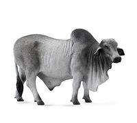 Byk brahman