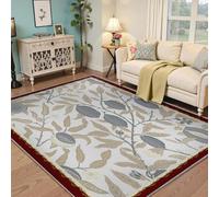 BYLEEHOMED Tapis 160x200cm pour Salon Fruit Grenade Motif Doux Lavable Non-Perte Tapis avec Support Antidérapant pour Cuisine Maison