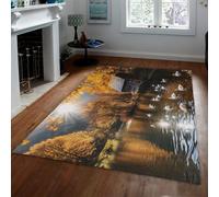 BYLEEHOMED Tapis Rustique Lavable Marron Salon Vintage Lake Fall Forest Salon à Poil Bas Large Tapis antidérapant Traditionnel antidérapant pour la décoration de la Table de Chevet 180x240cm