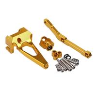 BYLKFC Amortisseur Amortisseur De Direction De Moto Stabilisateur pour Yamaha MT-09 MT09 FZ-09 FZ09 2013 2014 2015 2016 2017 2018 2019 2020 Kit De Support De Montage Support De Montage CNC(Or)