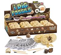 Byncceh Déterrer 12 Fossiles Kit de fouilles Faveur de fête archéologie Jouets STEM éducatifs pour Garçons Filles Enfants Cadeau