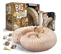 Byncceh Grand Kit de Fouille de Fossiles pour Enfants - Découvrez 12 Fossiles Authentiques dans Un Grand Bloc de Plâtre | pour Enfants de 6 à 12 Ans | Cadeau Parfait pour Jeunes Explorateurs