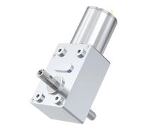 ByNGSDCC Moteur à Engrenages vis sans Fin Turbo Double axe JGY-370, 6v, 12v, 24v, métal Super résistant, autobloquant, Avant et arrière, réglable, brossé(67RPM,6V Single Motor)