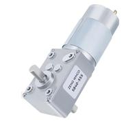 ByNGSDCC Moteur autobloquant brossé 12v 24v, engrenage métallique bidirectionnel à axe D, régulation de Vitesse Commutation Avant et arrière, 5840 - 555(40RPM,12V Single Motor)