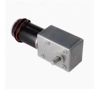 ByNGSDCC Moteur de réduction 200KG 5882-45 DC 12V 24V, Couple élevé, ver autobloquant, régulation Vitesse à Basse, Avant et arrière(200rpm,12V)