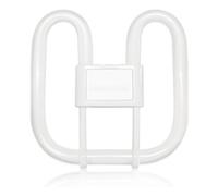 Bynome GR10q Ampoule de salle de bain 4 broches 16 W, blanc 6500 K (blanc froid, gr10q)