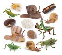 BYNYXI Lot de 14 escargots à 4 niveaux pour insectes, escargots, sauterelles, animaux, cycle de vie, modèle de simulations, animaux, biologie des insectes, science, jouet éducatif pour enfants