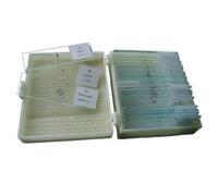 Byomic boîte de rangement pour 25 préparations microscopiques