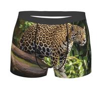 BYPPJGH Boxer pour homme, doux et respirant, motif chat Jaguar sur un tronc d'arbre, cascade en coton extensible, sous-vêtements pour homme recouverts d'une pochette de contour, sans étiquette pour