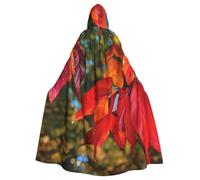 BYPPJGH Cape à capuche d'Halloween pour adulte - Feuilles rouges et fruits - Longue cape pour Halloween, Noël, cosplay - Pour homme et femme