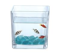 ByteRunning Aquarium Carré en Verre éPaissi,Mini Aquarium Transparent,Petit Aquarium De Bureau pour Poissons Rouges