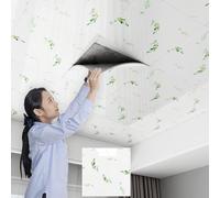 ByteRunning Dalle De Plafond,Dalles De Plafond Autocollantes en PVC,Dalles De Plafond à Coller,LéGer Et Installer Facile,Convient à La DéCoration d'un Bureau à Domicile