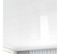 ByteRunning Dalle De Plafond,Plaque pour Plafond Salle De Bain A Coller,Dalles DéCoratives pour Burea,Installation Simple Et Rapide,pour sous-Sol,Cuisine,Salle De Bain