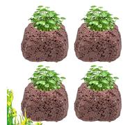 Byuexhp Pots de plantes d'aquarium | 4 pièces poreuses, anneaux de fixation pour plantes aquatiques | Pour bassin d'eau douce et d'eau salée, bassins, culture aquatique et