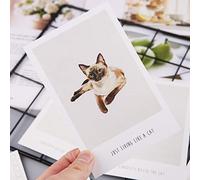 BYUTFA Carte Postale 30 Feuilles pour peintures de Chats, Carte Postale rétro Vintage, Carte Cadeau de Noël pour vœux