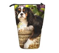 BYwenhopnbs Étui à Crayons Cavalier King Charles Spaniel (4) à Poser, Trousse télescopique