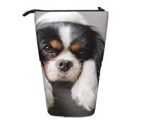 BYwenhopnbs Étui à Crayons télescopique en Forme de Cavalier King Charles Spaniel
