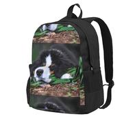 BYwenhopnbs Joli sac à dos d'école avec 15 compartiments pour ordinateur portable, motif bouvier bernois, pour homme et femme