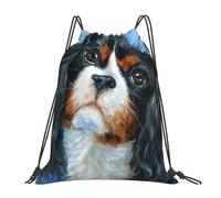 BYwenhopnbs Sac à dos de sport à cordon de serrage, résistant à l'eau, pour homme et femme, motif Cavalier King Charles Spaniel