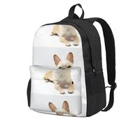 BYwenhopnbs Sac à dos d'école avec 15 compartiments pour ordinateur portable, motif chihuahua, animaux sauvages, mammifères de race pure