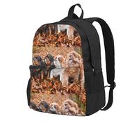 BYwenhopnbs Sac à dos d'école avec 15 compartiments pour ordinateur portable, motif chiots Cavalier King Charles Spaniel d'automne, pour homme et femme