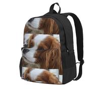 BYwenhopnbs Sac à dos d'école mignon Cavalier King Charles Spaniel, sac de voyage pour hommes et femmes, sac à dos universitaire avec 15 compartiments pour ordinateur portable