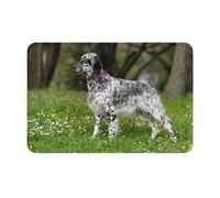 BYwenhopnbs Tapis de Porte d'entrée pour Animaux de Compagnie Setter Anglais, Tapis de Salle de Bain, paillasson d'intérieur antidérapant et Lavable, 61 x 40 cm