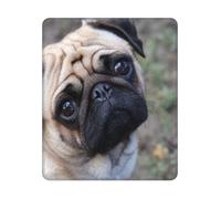 BYwenhopnbs Tapis de Souris carré avec Un Carlin Amusant Qui Vous Regarde, Bords Cousus, 10 et 12 Pouces