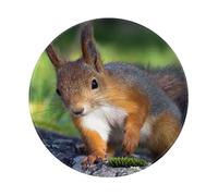 BYwenhopnbs Tapis de Souris Rond avec Un Adorable écureuil, Bords Cousus, 20 x 20 cm