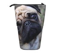 BYwenhopnbs Trousse à Crayons télescopique avec Un Carlin Rigolo Qui Vous Regarde