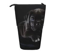 BYwenhopnbs Trousse à Crayons télescopique Cane Corso Pets Puppy Black Cane Corso Pets