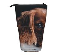 BYwenhopnbs Trousse à Crayons télescopique en Forme de Chiot Cavalier King Charles Spaniel Ruby