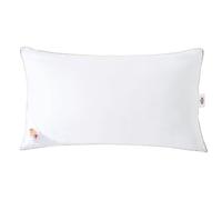 BZ LUXURY NANOFIBER Coussin Lit 40 x 70 - Coussin Anti-acariens - Ultra Doux et Respirant - Oreiller Lit en Nano Fibre Fine Hypoallergénique 100% Coton - Support Extra avec Déflecteur 2,5 cm