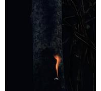 Bzdb - Jump Ship, Sit Lean, Be Still, Stand Tall [Import]